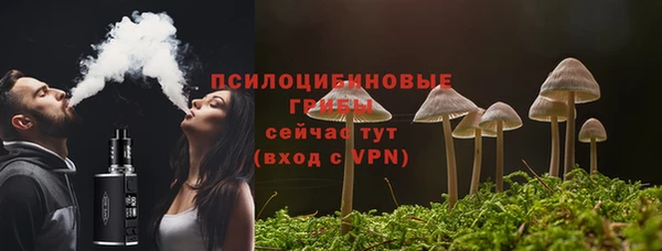 сатива Лихославль