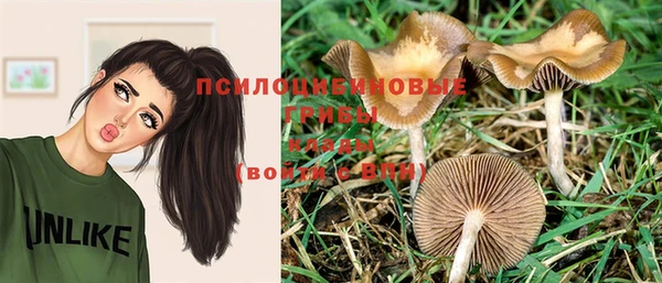 сатива Лихославль