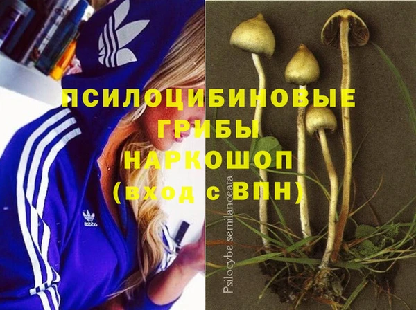 сатива Лихославль