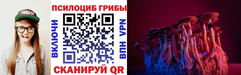 Галлюциногенные грибы GOLDEN TEACHER  Купить  Мураши 